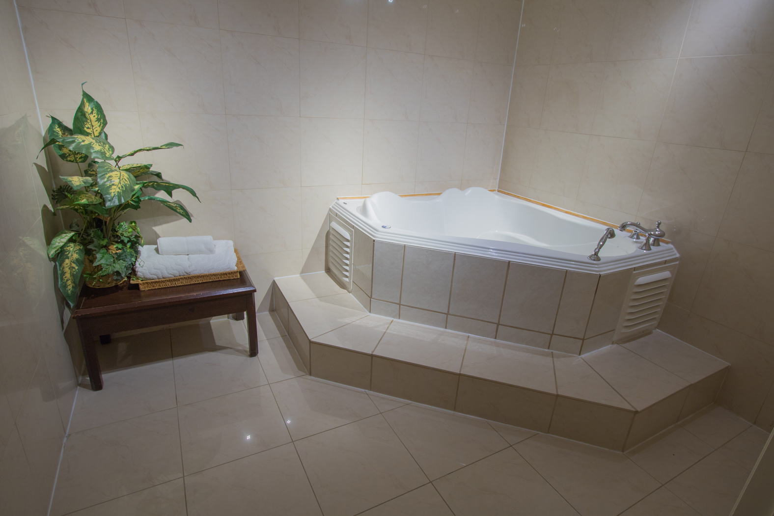 480+ Jacuzzi In A Hotel Suite Stock Photos, Pictures & Royalty-Free Images  - iStock